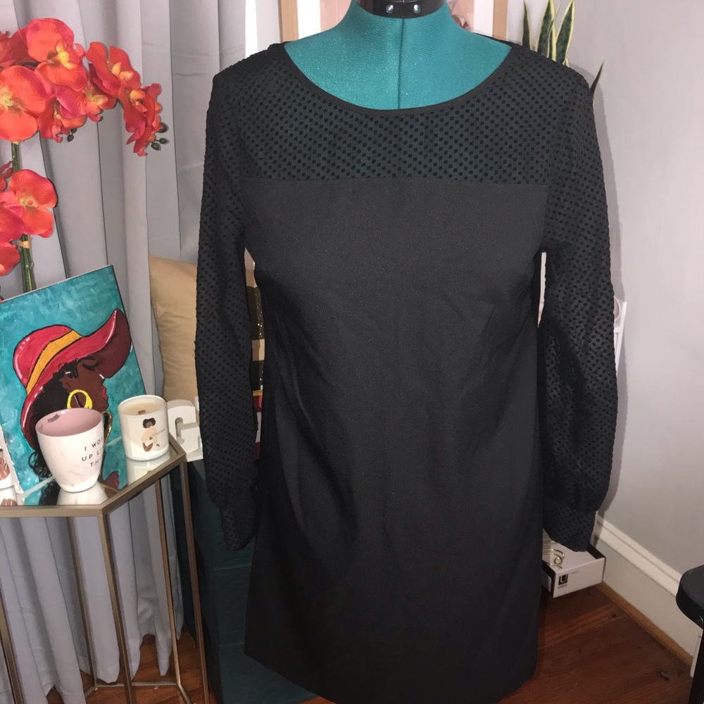 Banana Republic sheer sleeved dress